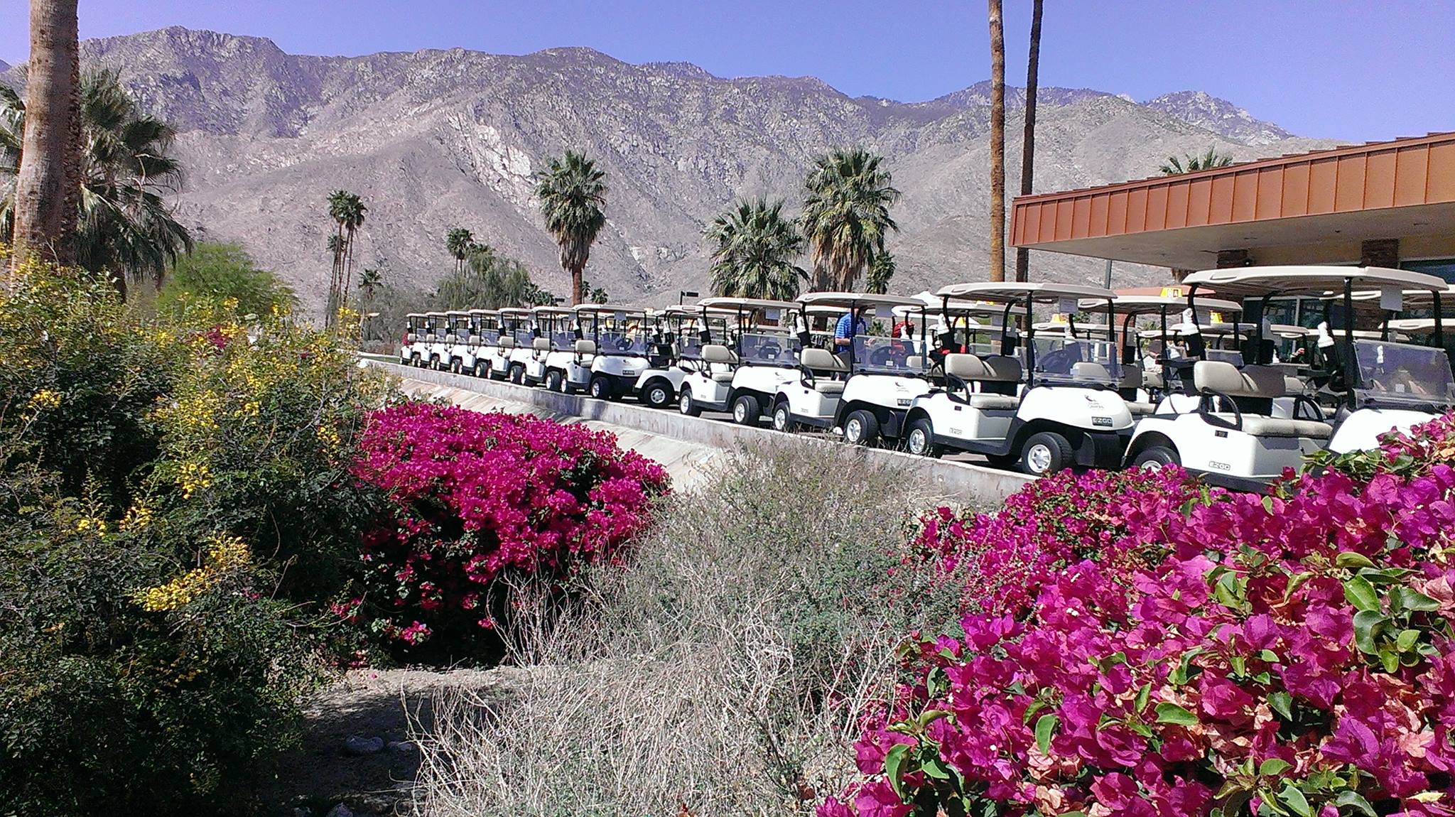 Indian Canyon Golf Resort